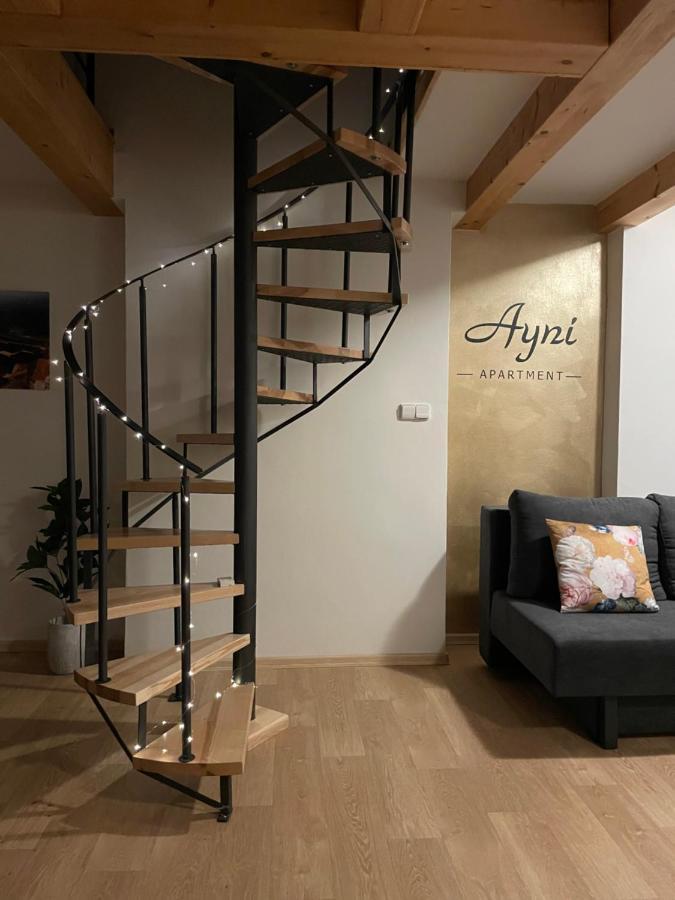 Ayni Apartman Semily Exterior foto